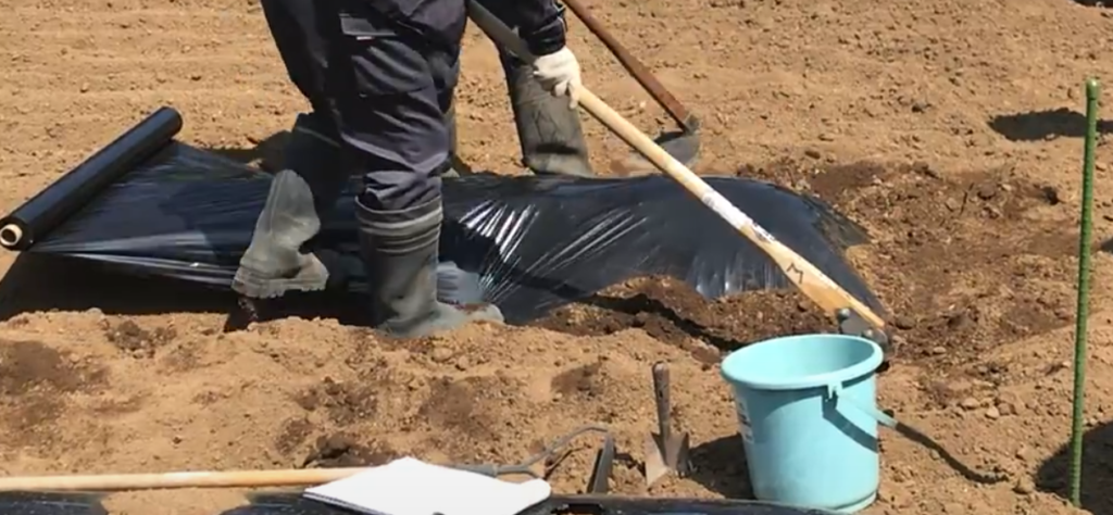黒マルチ2